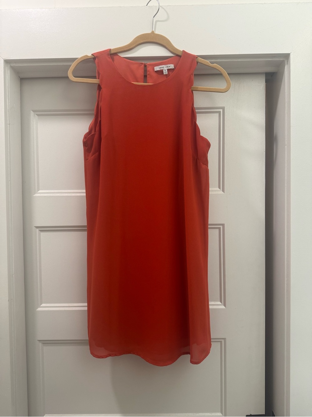 Naked Zebra Coral Orange Chiffon Shift Dress Small